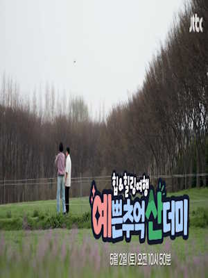 힙&힐링 여행 예쁜 추억 산더미